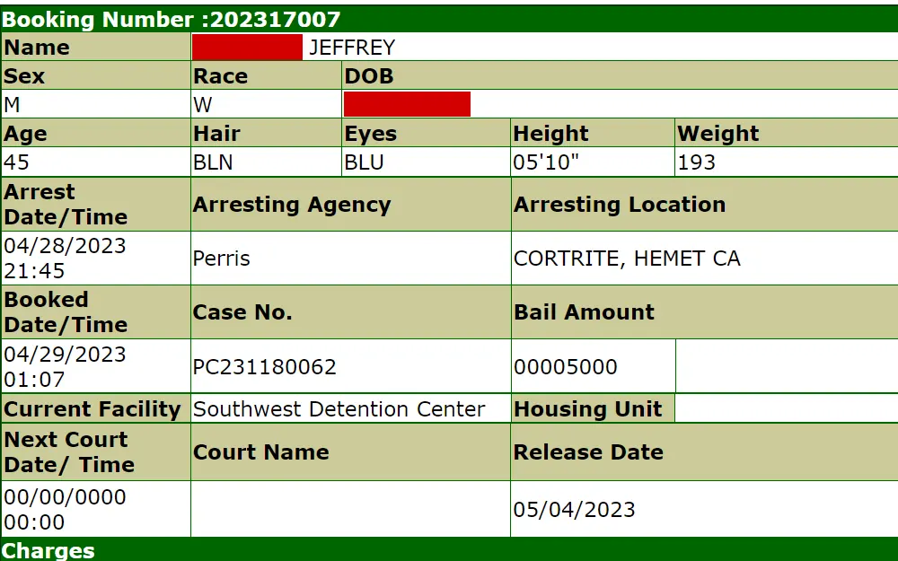 A screenshot of the inmate information from a free online inmate search which shows the arrestee's demographics, current facility, bail amount, case number, charge(s), etc.