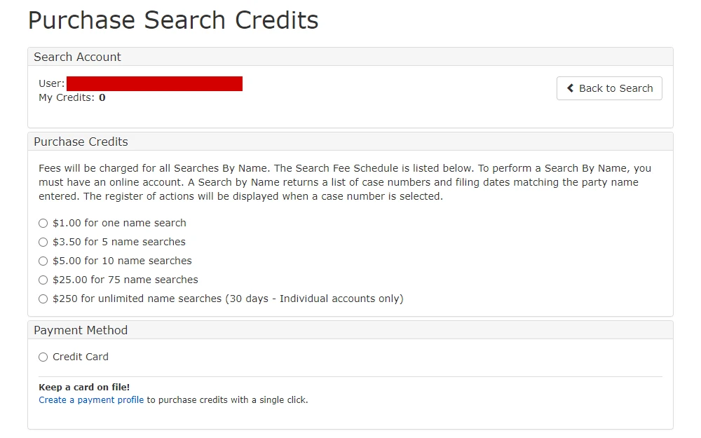 Screenshot of the section to purchase search credit for name searches, displaying the options and a short instructional note.